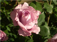 be770a39-Picture 5973.jpg